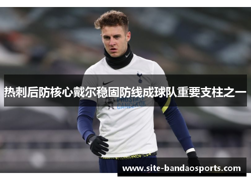 热刺后防核心戴尔稳固防线成球队重要支柱之一