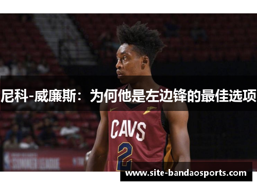 尼科-威廉斯：为何他是左边锋的最佳选项