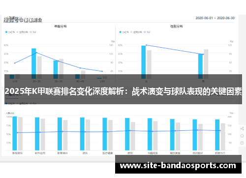 2025年K甲联赛排名变化深度解析：战术演变与球队表现的关键因素