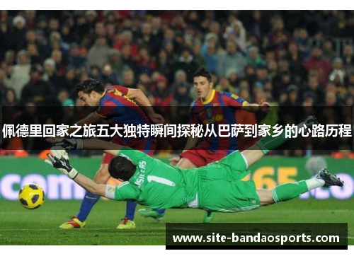 佩德里回家之旅五大独特瞬间探秘从巴萨到家乡的心路历程