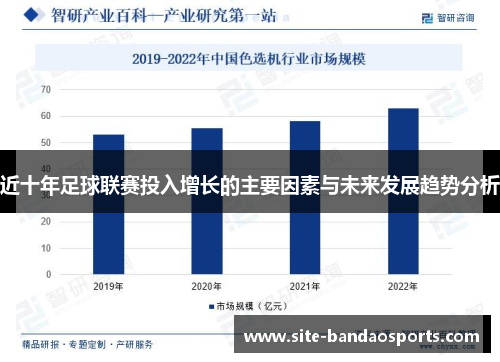 近十年足球联赛投入增长的主要因素与未来发展趋势分析