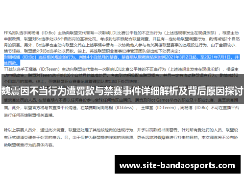 魏震因不当行为遭罚款与禁赛事件详细解析及背后原因探讨