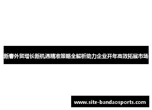 新春外贸增长新机遇精准策略全解析助力企业开年高效拓展市场