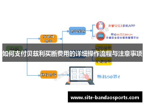 如何支付贝兹利买断费用的详细操作流程与注意事项