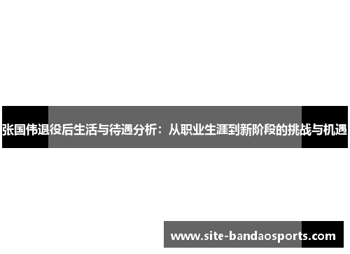 张国伟退役后生活与待遇分析：从职业生涯到新阶段的挑战与机遇