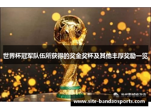 世界杯冠军队伍所获得的奖金奖杯及其他丰厚奖励一览