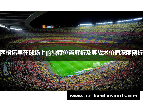 西格诺里在球场上的独特位置解析及其战术价值深度剖析