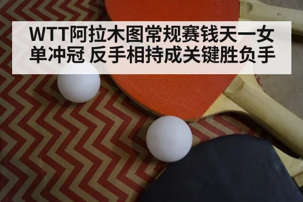 table tennis paddle close up